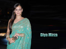Diya_Mirza_198_1257913979