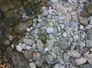 DSCF8653