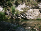 DSCF8655