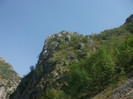 DSCF8669