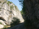 DSCF8672