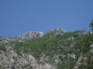 DSCF8675