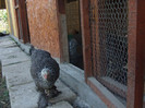 B H I seria 2-11 03 2012
