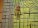 DSCN0010