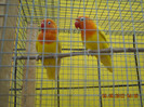 DSCN0012