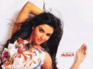 Asin_074_1261460636