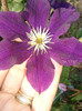 Photo0538