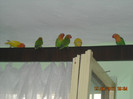 DSCN0013