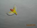 DSCN0022