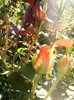 Photo0571