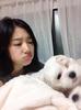 park_shin_hye_with_dog_120317