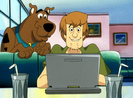 scooby-doo-and-shaggy-214