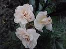 P180812_12.05_[04]