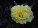 P130812_12.38_[03]