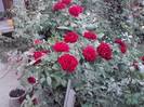 P160812_09.48_[04]