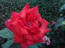 P160812_09.50_[03]