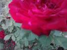 P160812_09.51_[02]