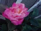 P160812_09.52_[01]
