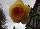 P180812_12.07_[04]