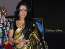 Celina_Jaitley_520_1265350484