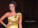 Celina_Jaitley_512_1263881907