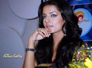 Celina_Jaitley_505_1262490902