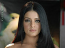 Celina_Jaitley_503_1262312794