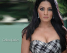 Celina_Jaitley_455_1261625176
