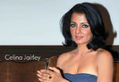 Celina_Jaitley_495_1261198276