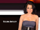 Celina_Jaitley_494_1261027827