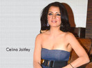 Celina_Jaitley_493_1260943397