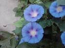 P100812_08.48_[05]