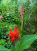 DSCN0256