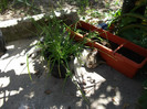 Picture 002