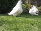 DSCN0544