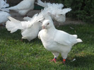DSCN0553