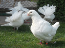 DSCN0555