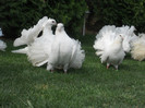 DSCN0567