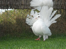 DSCN0571