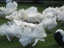 DSCN0574
