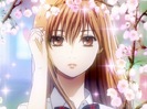 Chihayafuru