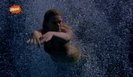 vlcsnap-00223