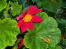 DSCN8402