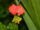 DSCN8406
