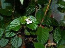 DSCN8429