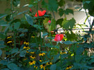 DSCN8432