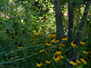 DSCN8443