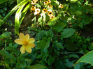 DSCN8469
