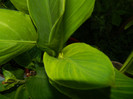 DSCN8480