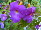DSCN8486